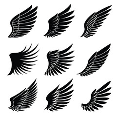 Obraz premium Twelve Black Wing Silhouettes Various Styles wings