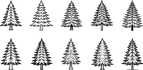 Obraz premium Ten different stylized pine trees isolated on a white background for various purposes