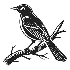 Fototapeta premium Black Silhouette Small Bird Perched on Branch Stylized Art