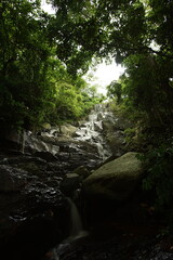 Serene Cascade Vista: A Hidden Waterfall Oasis Underneath a Canopy of Lush Green Foliage