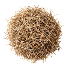 Tumbleweed: An isolated tumbleweed, a symbol of resilience and the open road, rests against a neutral backdrop, showcasing its intricate texture and organic form.