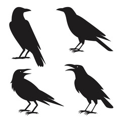 Obraz premium Four Black Crow Silhouettes Graphic Vector Illustration