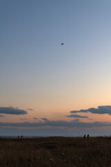 flying airplane in the sky after sunset