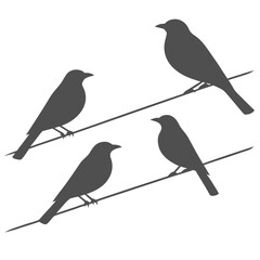 Four Dark Gray Bird Silhouettes on Wires Minimalist Design