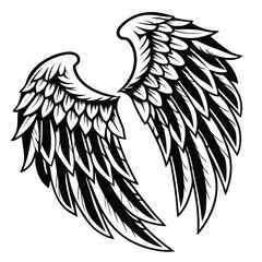 Stylized Black and White Angel Wings Detailed Feather Design