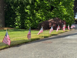 Tiny USA flags line the roadside, waving gently in the breeze a tribute for Independence Day,...