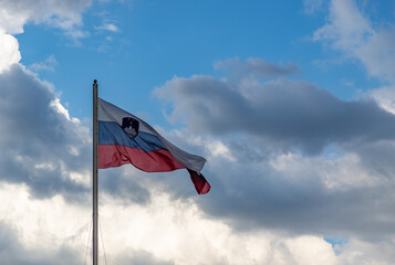 Slovenian Flag