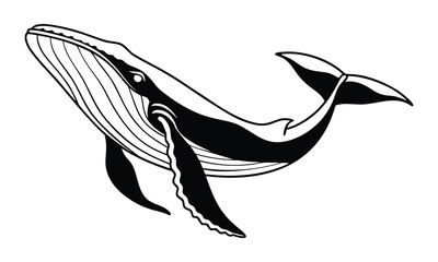 vector illustration of a silhouette of a shark