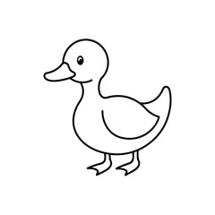 duckling cartoon isolated on white background  