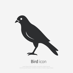 Fototapeta premium Сrow bird silhouette logo. Black icon bird standing isolated on white background. Vector illustration side view