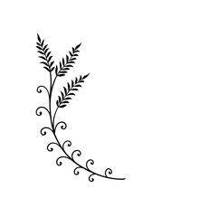 fern and vine corner borders for elegant programs  © Swapon