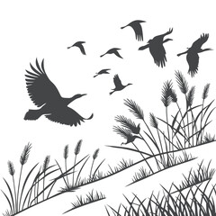 Flock of Birds Flying Over Grassland with Reeds in Silhouette
