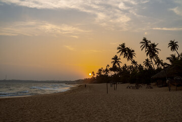 Sunset at a tranquil beach with palm trees swaying, capturing the serene atmosphere of an evening in a coastal paradise