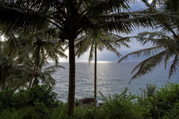 Serenity at the shoreline with palm trees framing the tranquil ocean during a cloudy afternoon in a...