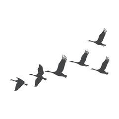 Silhouette of Migrating Birds Flying in Formation
