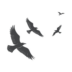 Silhouette of Birds Gracefully Flying in Open Sky
