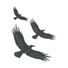 Silhouette of Birds Gracefully Flying in Open Sky

