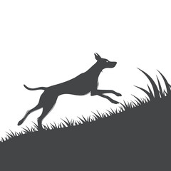 Silhouette of a Running Dog on a Hill in Nature Scene
