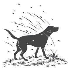 Wet Dog Shaking Off Water Silhouette Illustration

