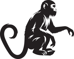 Black and White Monkey Silhouette Vector Set – Sitting, Walking, and Playing Poses
