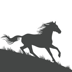 Wild Horse Silhouette Galloping Downhill in Grassy Landscape
