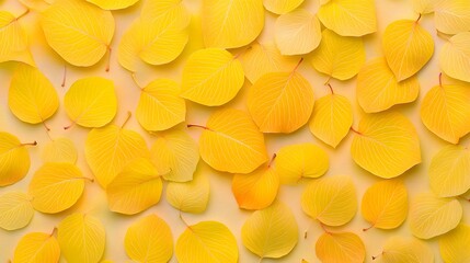 Vibrant Yellow Autumn Leaves Pattern Background