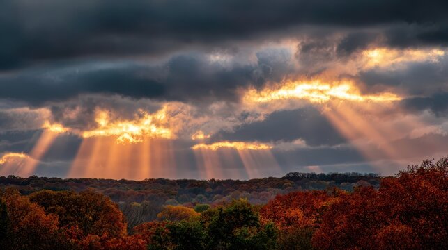 Autumn sky with sunbeams breaking through heavy clouds illuminating an autumn forest