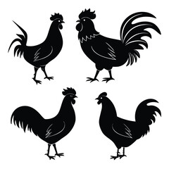Fototapeta premium Black Silhouettes of Roosters and Hens Village Chickens