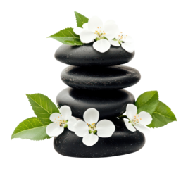 PNG Balanced stones flowers black white.