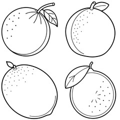 Obraz premium Lime Coloring Page – Fresh Citrus Fruit Line Art Illustration for Kids and Adults