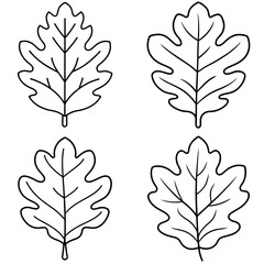 Oak Leaf Coloring Page – Botanical Tree Leaf Line Art Illustration for Kids and Adults