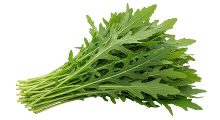 Isolated Fresh arugula bunch