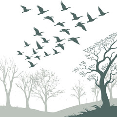 Flock of Birds Flying Over Forest Landscape Silhouette
