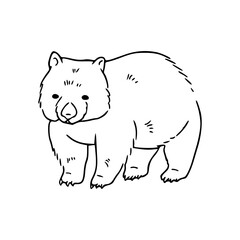 adorable line art bear cub