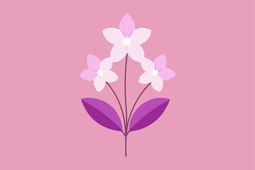 pink flower vector illustration