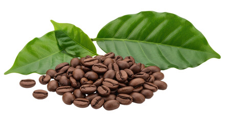 Isolated Coffee Beans
