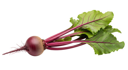 Isolated Beetroot with Leaves