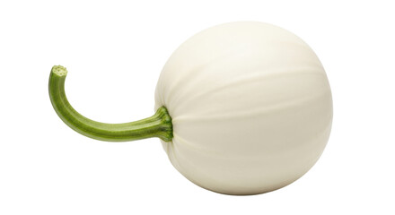 Isolated White Pumpkin