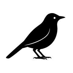 Obraz premium Design a black silhouette of a Gray Catbird white background clean vector shape