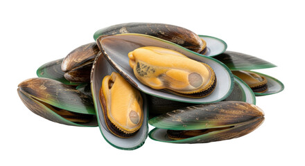 Isolated Mussels