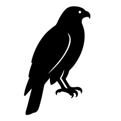 Fototapeta premium Design a black silhouette of a Goshawk white background clean vector shape