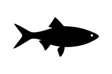 Fototapeta premium Design a black silhouette of a Golden Shiner white background clean vector shape