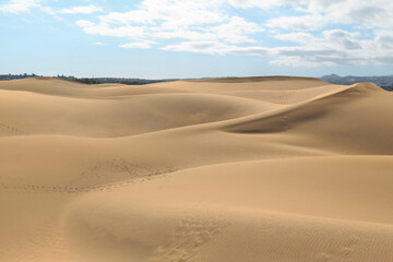 Soft sand dunes stretch across the landscape, bathed in sunlight, creating a serene and tranquil atmosphere in the desert.