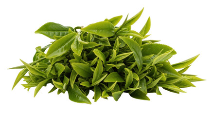 Isolated Green Tea Leaves