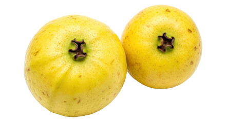 Isolated Two Guavas