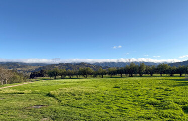 Naklejka premium California Santa Ynez Valley landscape