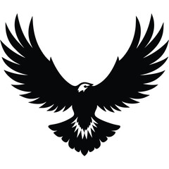 Fototapeta premium Majestic eagle wings spread wide bird flight