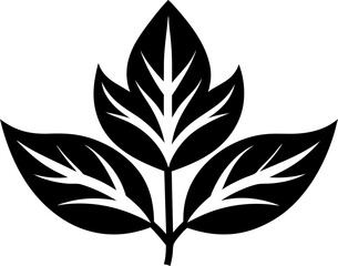 Simple Leaf Silhouette Black and White