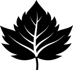 Natural Plant Leaf Silhouette Vector