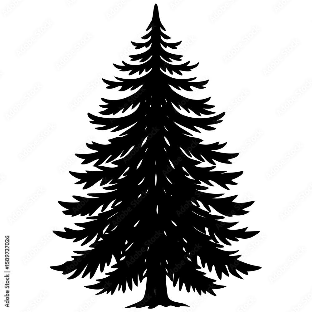 Poster silhouette of a detailed pine tree with dense branches and needles isolated on white background